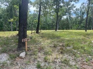 5031 Port Perry Drive Property Photo 2