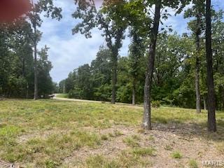 5031 Port Perry Drive Property Photo 4