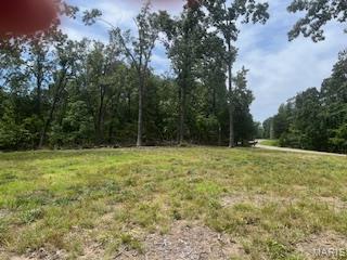 5031 Port Perry Drive Property Photo 8