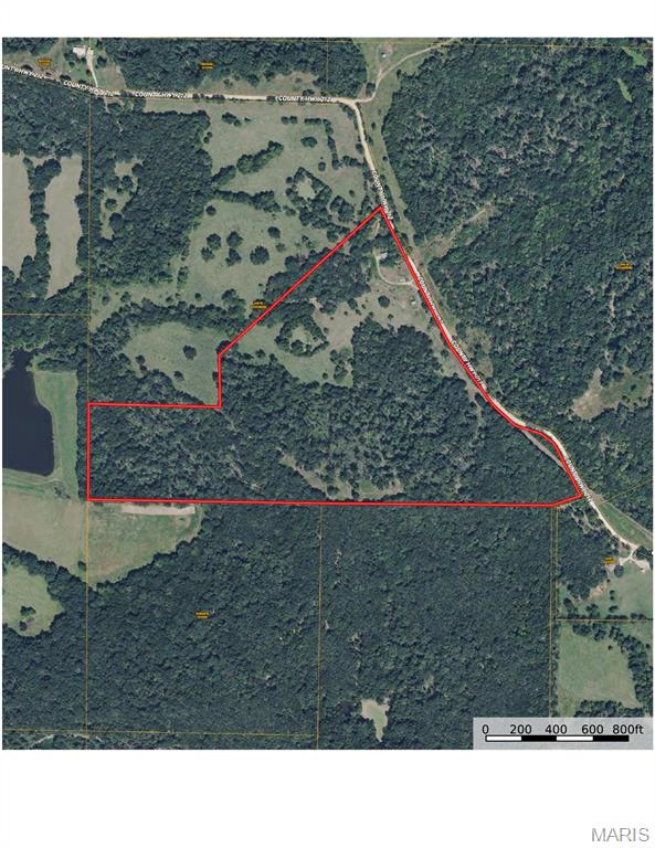 314 County Road 212 54.5 Acres Property Photo 29