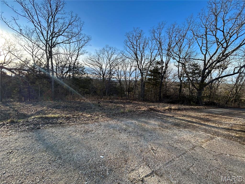 314 County Road 212 54.5 Acres Property Photo 30