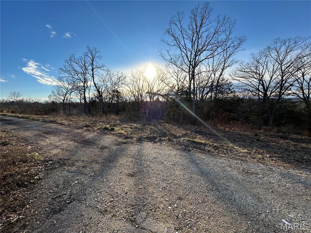 314 County Road 212 54.5 Acres Property Photo 31