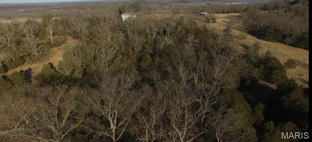 314 County Road 212 54.5 Acres Property Photo 32