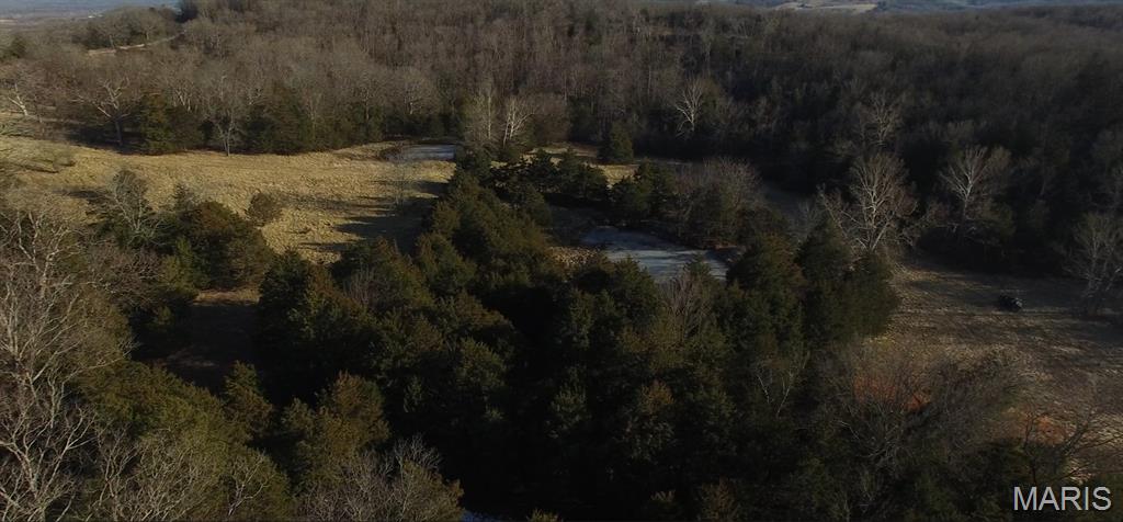 314 County Road 212 54.5 Acres Property Photo 33