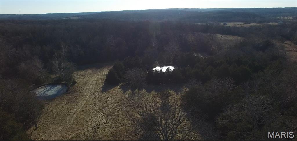314 County Road 212 54.5 Acres Property Photo 34