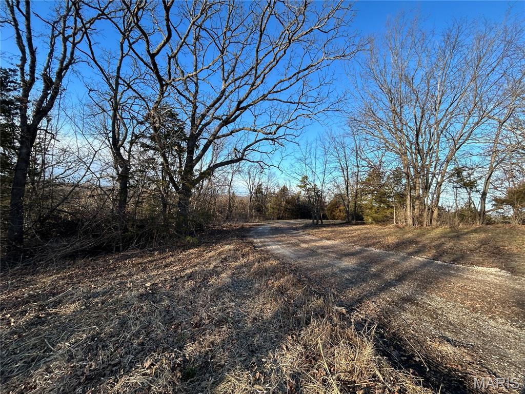 314 County Road 212 54.5 Acres Property Photo 38