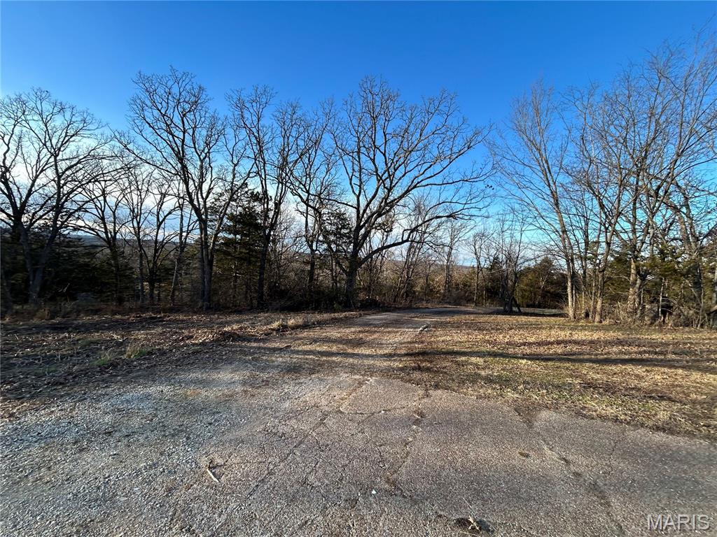 314 County Road 212 54.5 Acres Property Photo 39