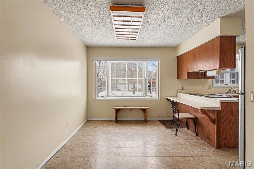 5520 Highway T Property Photo 12