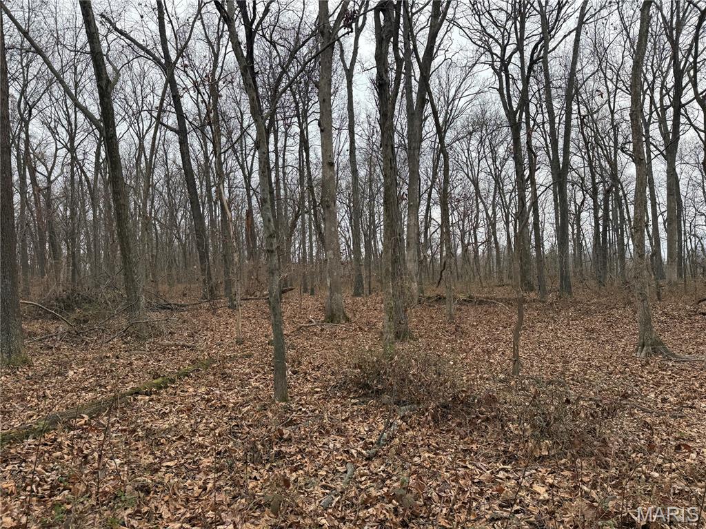 00 State Highway 148 Property Photo 4