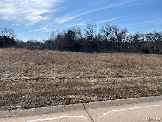 1.73 Acres Main Plaza Drive Property Photo 1