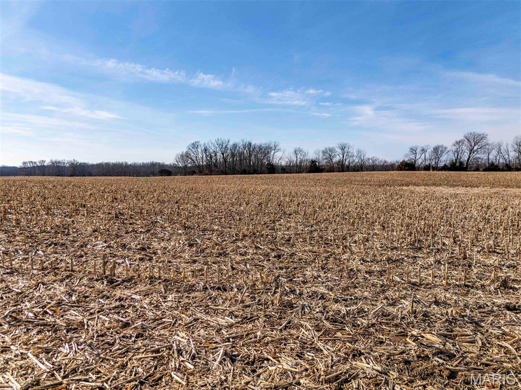 00 Kuntz Road Property Photo 45