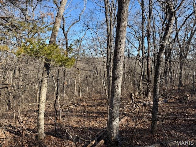111 Highway Bb Property Photo 11