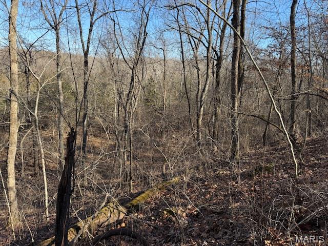 111 Highway Bb Property Photo 12