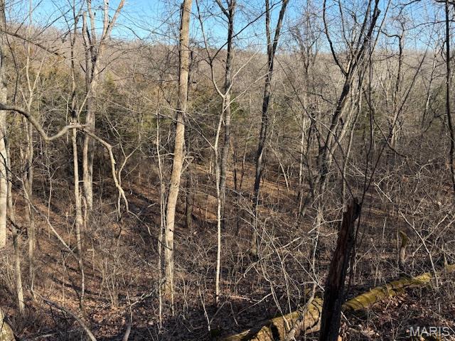 111 Highway Bb Property Photo 13