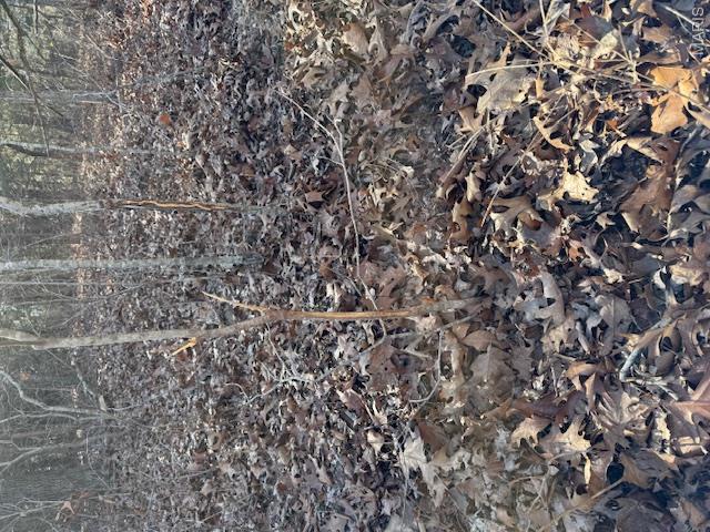 111 Highway Bb Property Photo 15