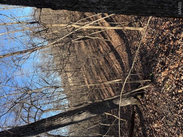 111 Highway Bb Property Photo 17