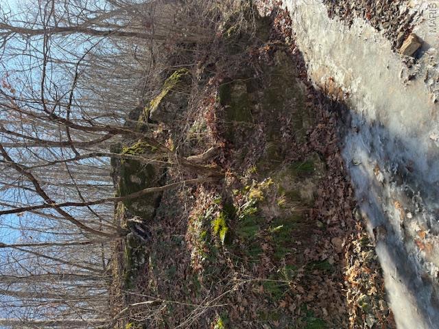 111 Highway Bb Property Photo 19