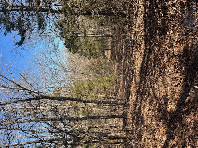 111 Highway Bb Property Photo 26