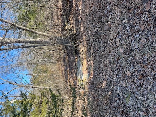 111 Highway Bb Property Photo 27