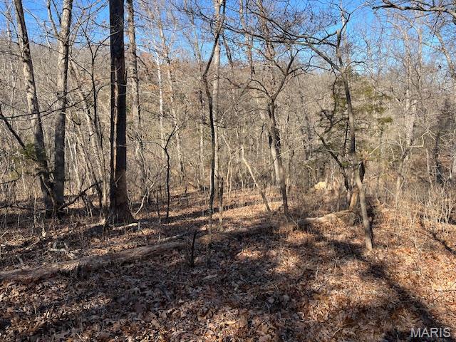 111 Highway Bb Property Photo 31