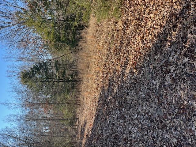 111 Highway Bb Property Photo 33