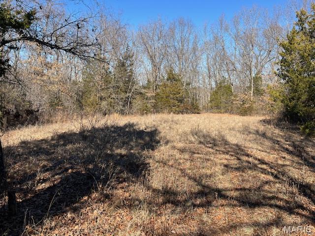 111 Highway Bb Property Photo 34