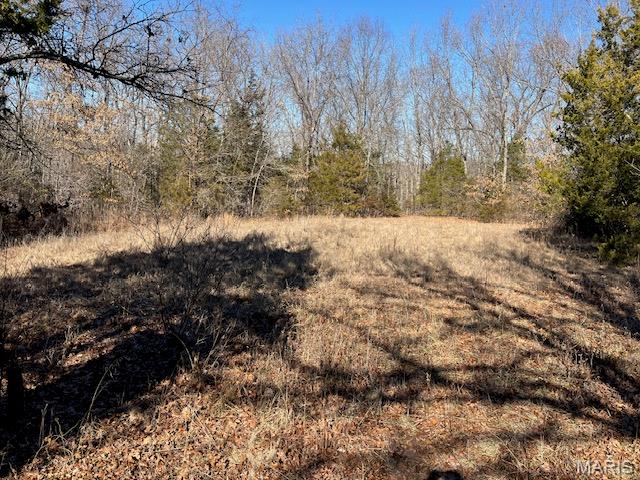 111 Highway Bb Property Photo 35