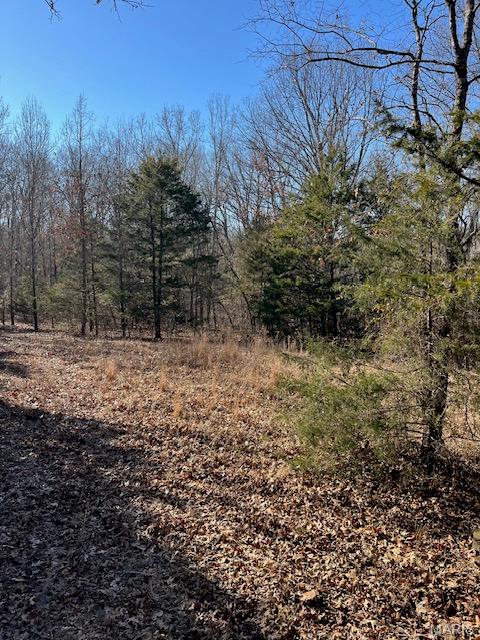 111 Highway Bb Property Photo 36