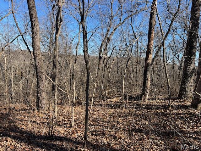 111 Highway Bb Property Photo 39