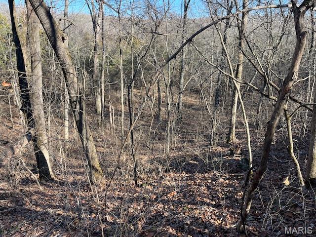 111 Highway Bb Property Photo 40