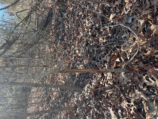 111 Highway Bb Property Photo 42