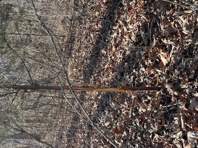 111 Highway Bb Property Photo 43