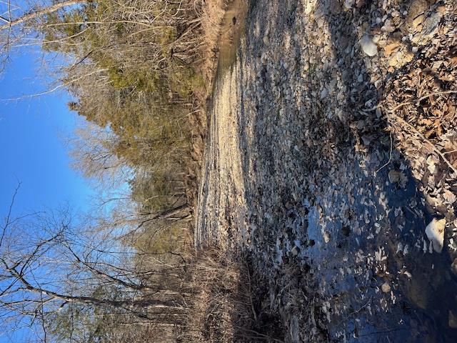 111 Highway Bb Property Photo 53