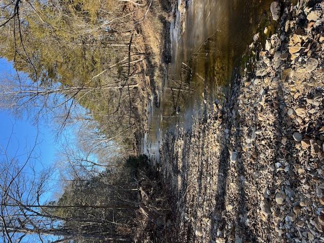 111 Highway Bb Property Photo 56