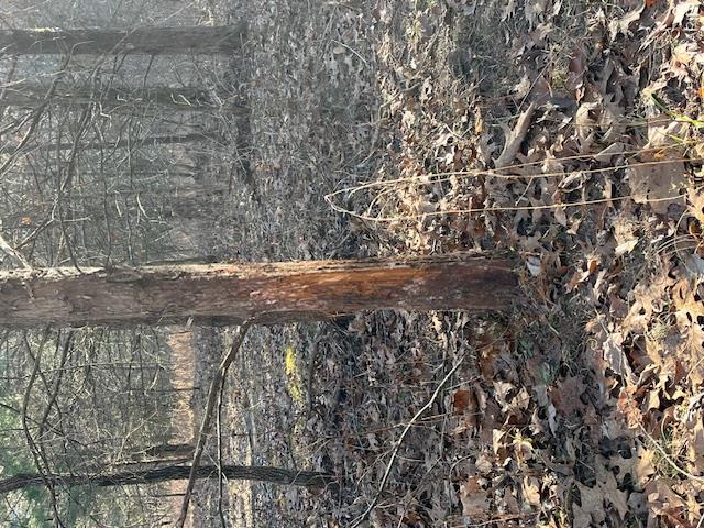 111 Highway Bb Property Photo 59