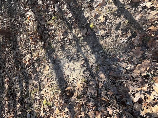 111 Highway Bb Property Photo 61