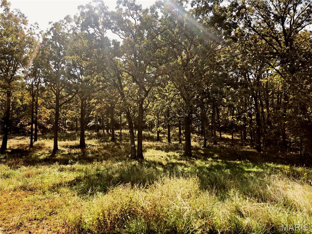 10240 County Road 3060 Property Photo 1