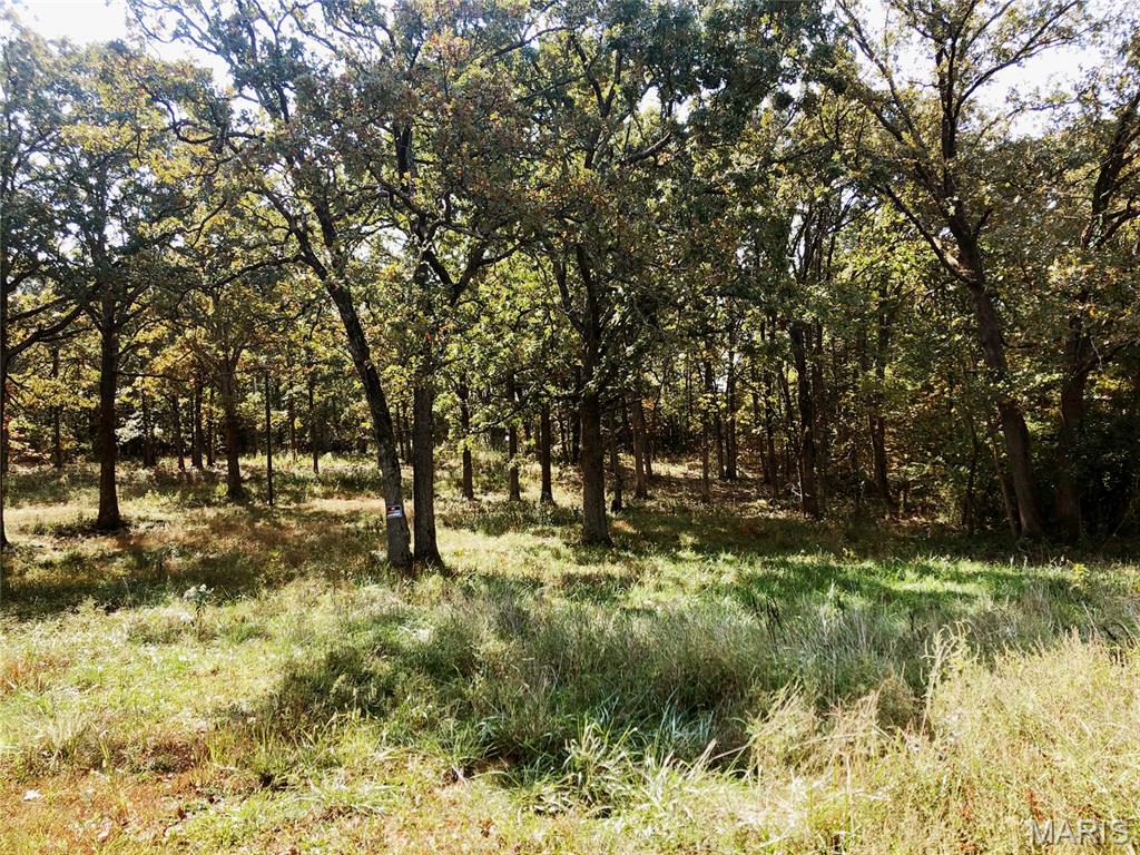 10240 County Road 3060 Property Photo 2