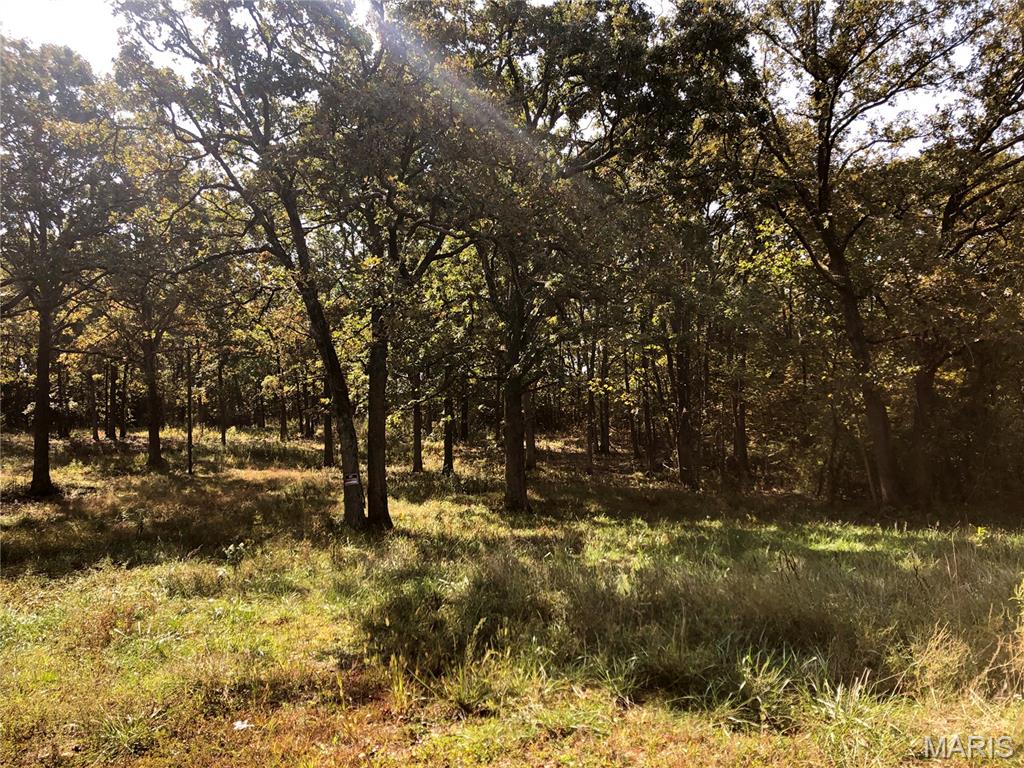 10240 County Road 3060 Property Photo 3