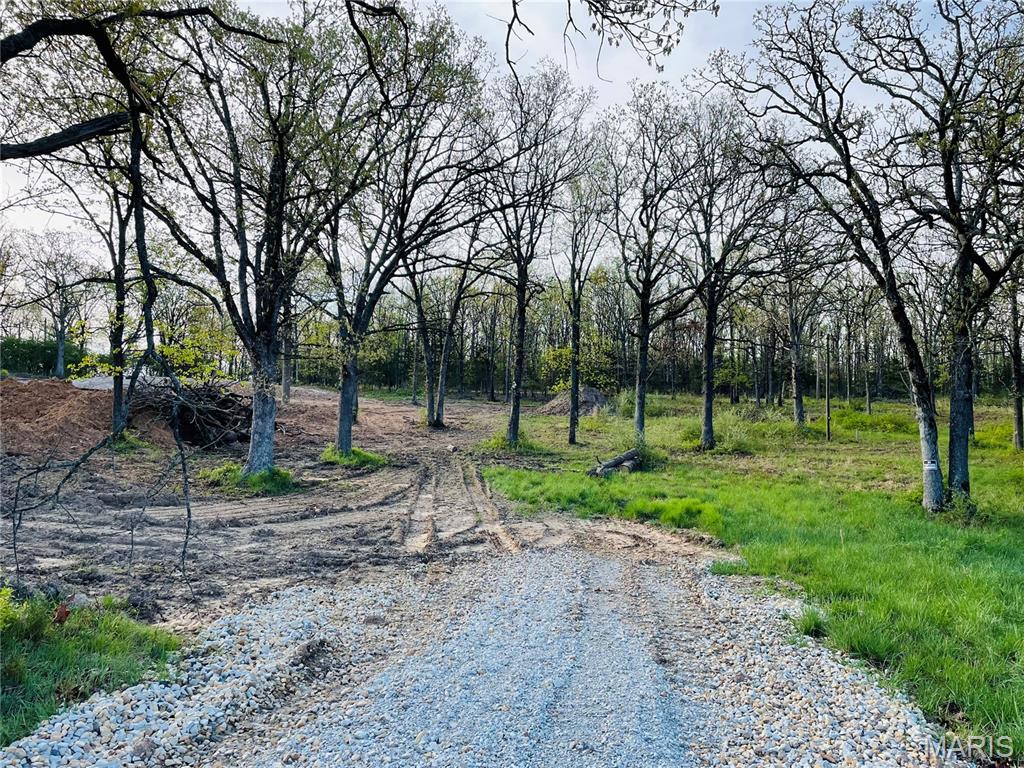 10240 County Road 3060 Property Photo 5