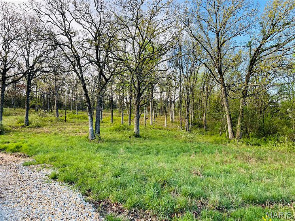 10240 County Road 3060 Property Photo 6