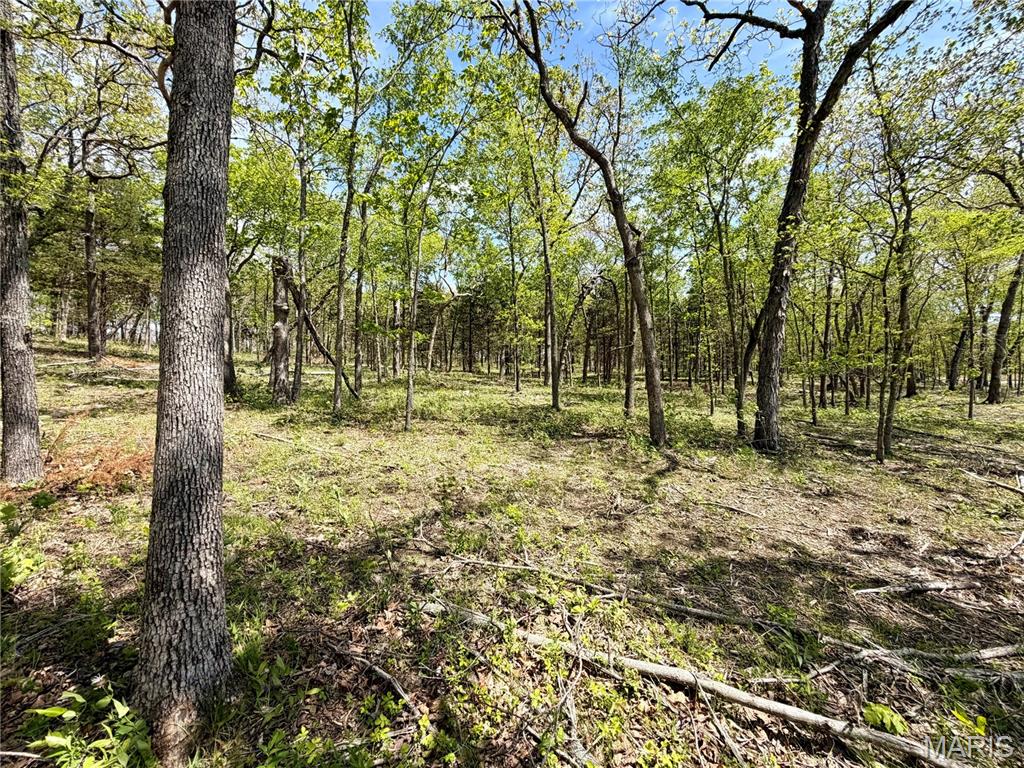 14 Legacy Drive Property Photo 5