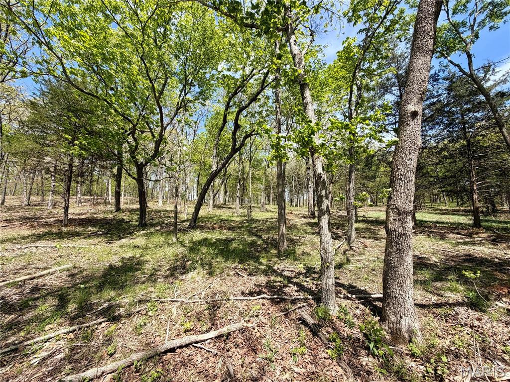 14 Legacy Drive Property Photo 6