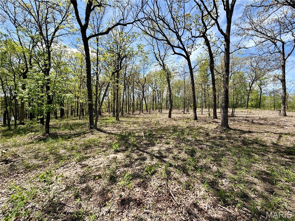 14 Legacy Drive Property Photo 19