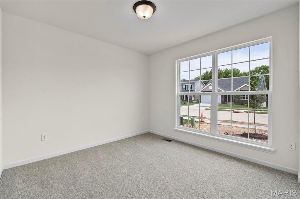 15 Shady Elm Court Property Photo 18