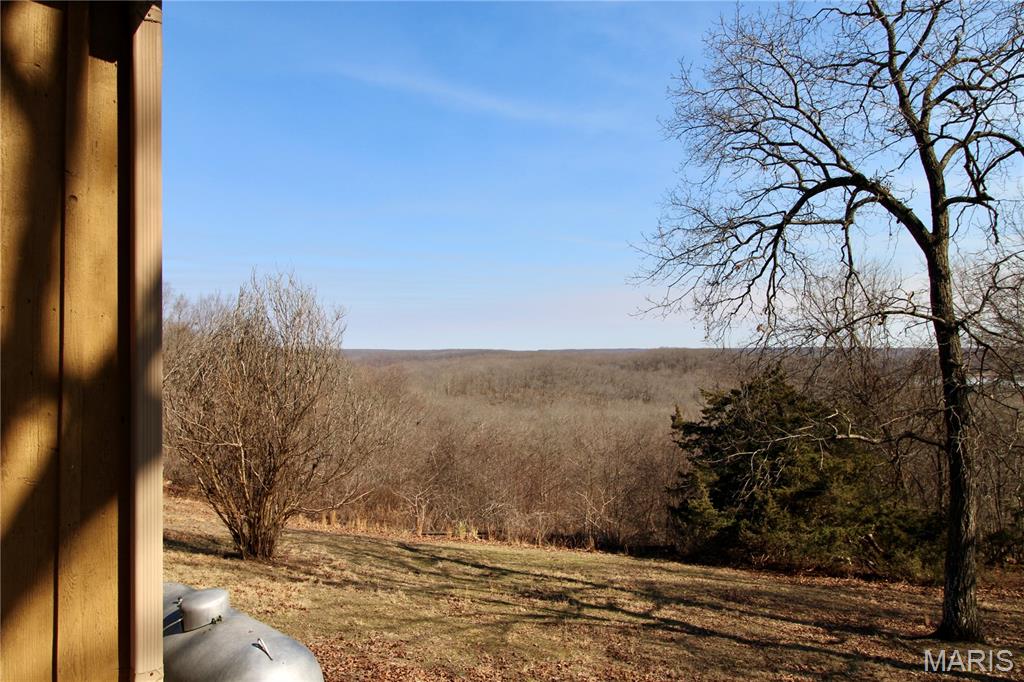 1364 Wayne 551 Property Photo 35