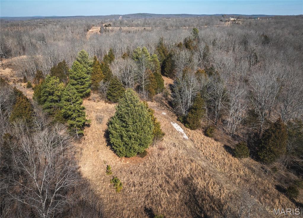 0 Highway C Property Photo 3