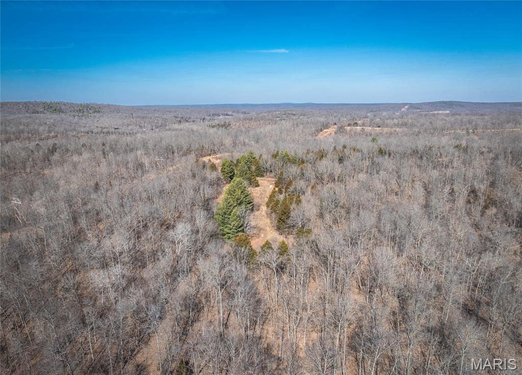 0 Highway C Property Photo 11