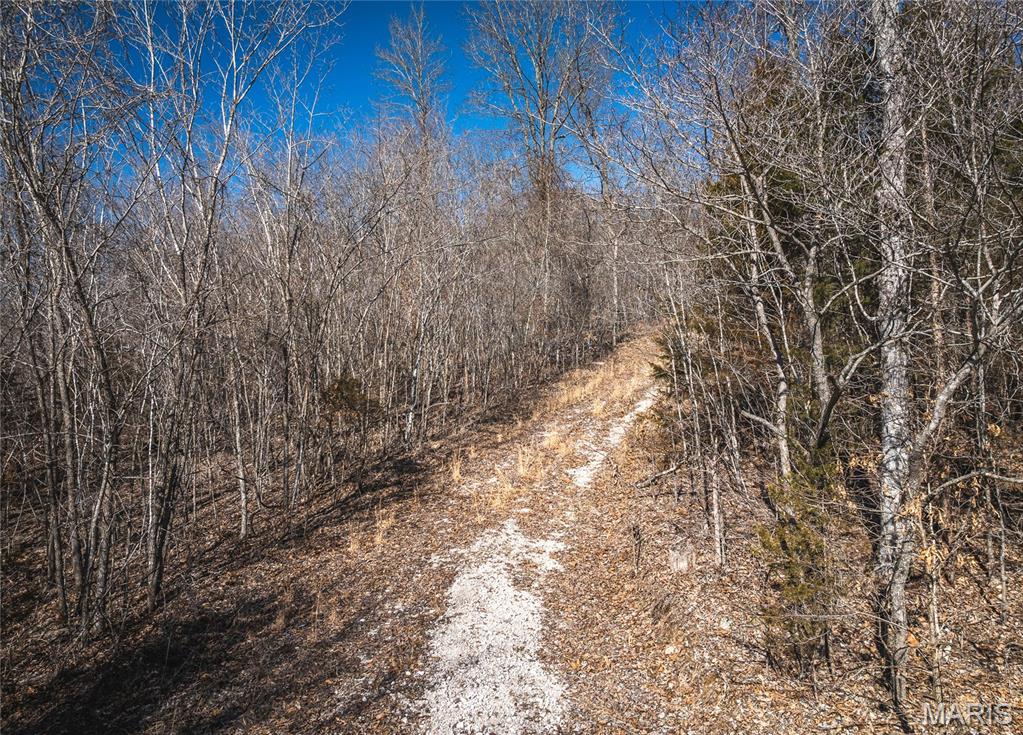 0 Highway C Property Photo 20
