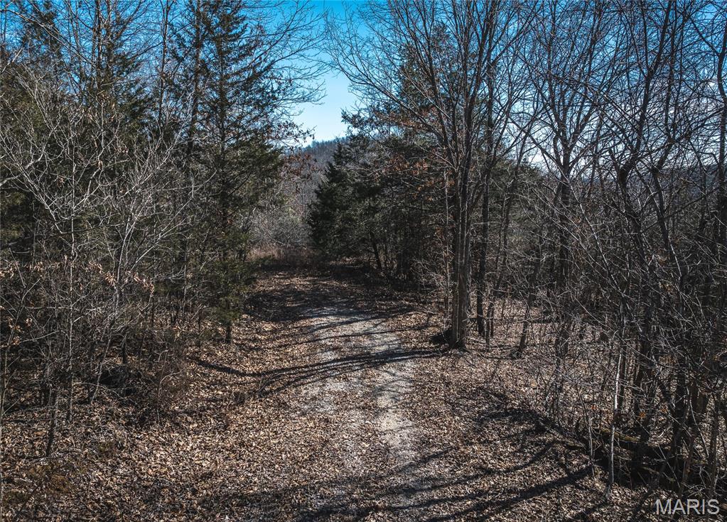 0 Highway C Property Photo 21